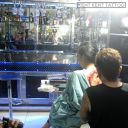 KENT KENT TATTOO OKE ( THE BEST INDONESIAN TATTOOIST )