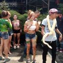 

TRY HOLDING THE SNAKE
