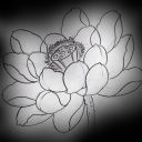 KENT KENT TATTOO